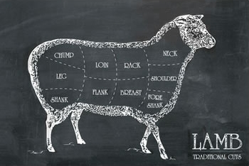 Lamb Cuts